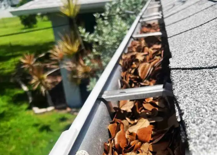 Chelsea gutter cleaning home page